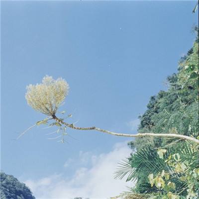 跟莎拉学做冰淇淋泡芙